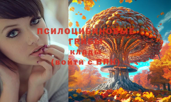 бутират Заволжск