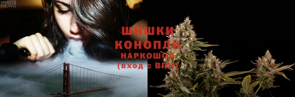 прущие крисы Заводоуковск