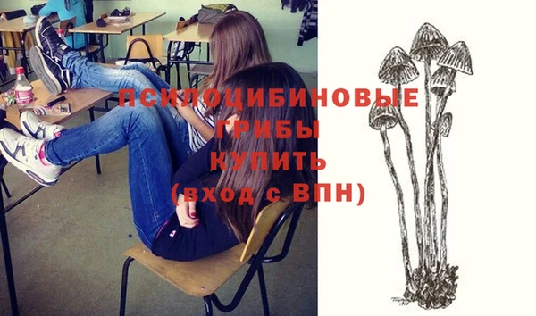 прущие крисы Заводоуковск