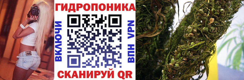 Каннабис план Купить Белогорск
